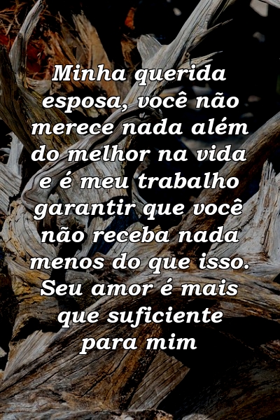 Minha querida esposa, você não merece nada além do melhor na vida e é meu trabalho garantir que você não receba nada menos do que isso. Seu amor é mais que suficiente para mim