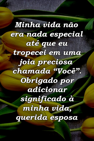 Minha vida não era nada especial até que eu tropecei em uma joia preciosa chamada “Você”. Obrigado por adicionar significado à minha vida, querida esposa