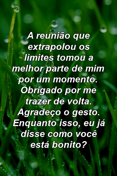 A reunião que extrapolou os limites tomou a melhor parte de mim por um momento. Obrigado por me trazer de volta. Agradeço o gesto. Enquanto isso, eu já disse como você está bonito?