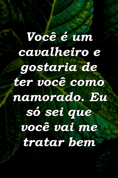 Você é um cavalheiro e gostaria de ter você como namorado. Eu só sei que você vai me tratar bem