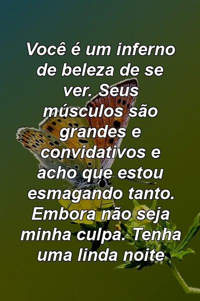 Você é um inferno de beleza de se ver. Seus músculos são grandes e convidativos e acho que estou esmagando tanto. Embora não seja minha culpa. Tenha uma linda noite