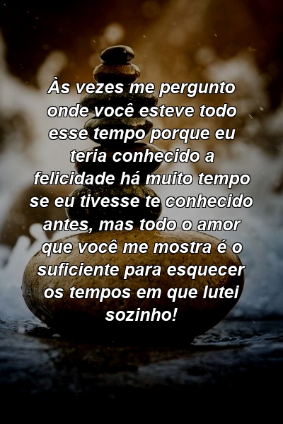 Às vezes me pergunto onde você esteve todo esse tempo porque eu teria conhecido a felicidade há muito tempo se eu tivesse te conhecido antes, mas todo o amor que você me mostra é o suficiente para esquecer os tempos em que lutei sozinho!