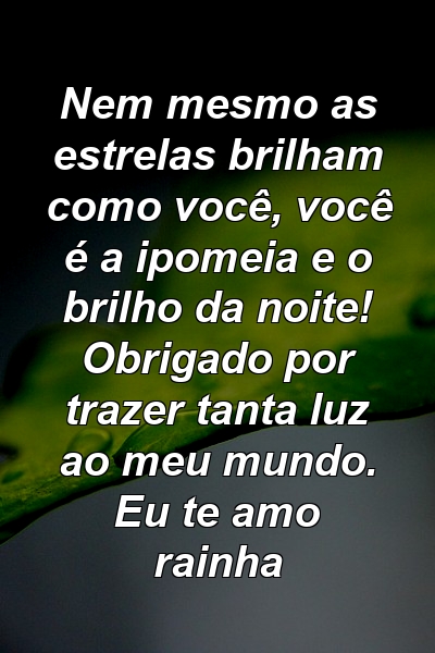 Nem mesmo as estrelas brilham como você, você é a ipomeia e o brilho da noite! Obrigado por trazer tanta luz ao meu mundo. Eu te amo rainha