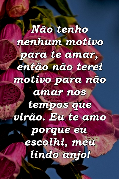 Não tenho nenhum motivo para te amar, então não terei motivo para não amar nos tempos que virão. Eu te amo porque eu escolhi, meu lindo anjo!