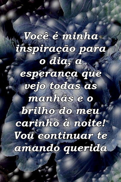 Você é minha inspiração para o dia, a esperança que vejo todas as manhãs e o brilho do meu carinho à noite! Vou continuar te amando querida