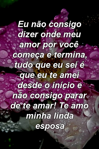 Eu não consigo dizer onde meu amor por você começa e termina, tudo que eu sei é que eu te amei desde o início e não consigo parar de te amar! Te amo minha linda esposa