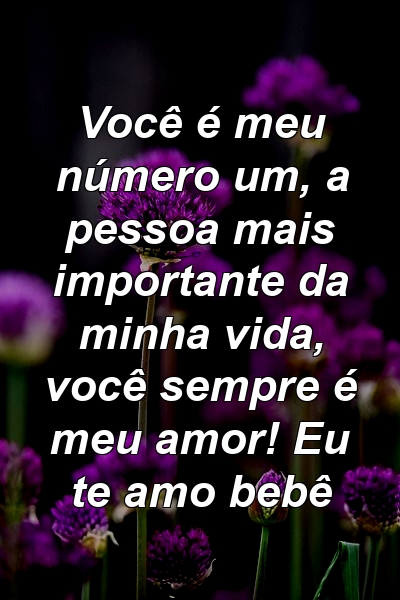 Você é meu número um, a pessoa mais importante da minha vida, você sempre é meu amor! Eu te amo bebê