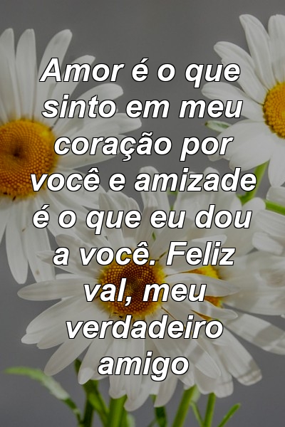 Amor é o que sinto em meu coração por você e amizade é o que eu dou a você. Feliz val, meu verdadeiro amigo