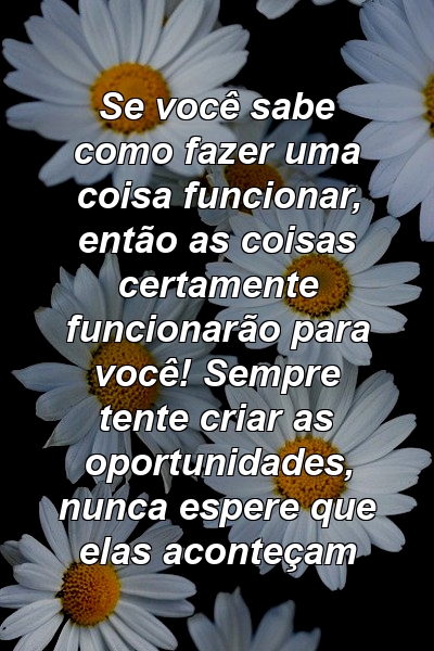 Se você sabe como fazer uma coisa funcionar, então as coisas certamente funcionarão para você! Sempre tente criar as oportunidades, nunca espere que elas aconteçam