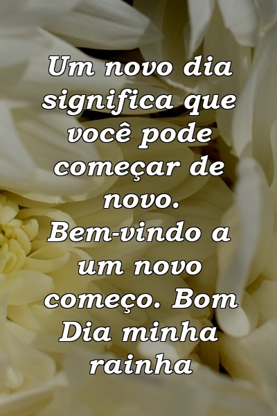 Um novo dia significa que você pode começar de novo. Bem-vindo a um novo começo. Bom Dia minha rainha