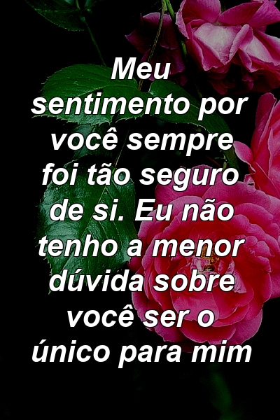 Meu sentimento por você sempre foi tão seguro de si. Eu não tenho a menor dúvida sobre você ser o único para mim