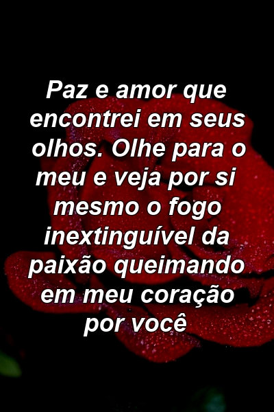 Paz e amor que encontrei em seus olhos. Olhe para o meu e veja por si mesmo o fogo inextinguível da paixão queimando em meu coração por você