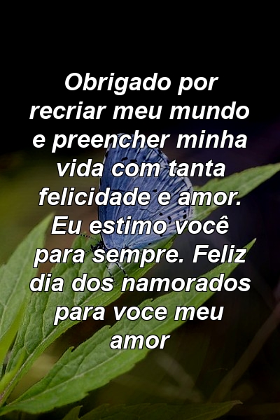 Obrigado por recriar meu mundo e preencher minha vida com tanta felicidade e amor. Eu estimo você para sempre. Feliz dia dos namorados para voce meu amor