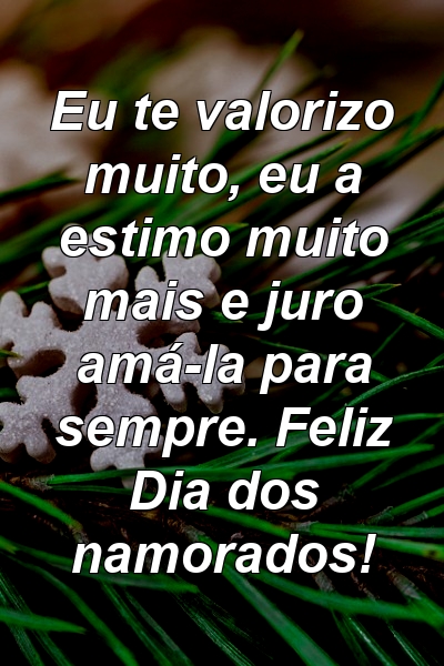 Eu te valorizo ​​muito, eu a estimo muito mais e juro amá-la para sempre. Feliz Dia dos namorados!