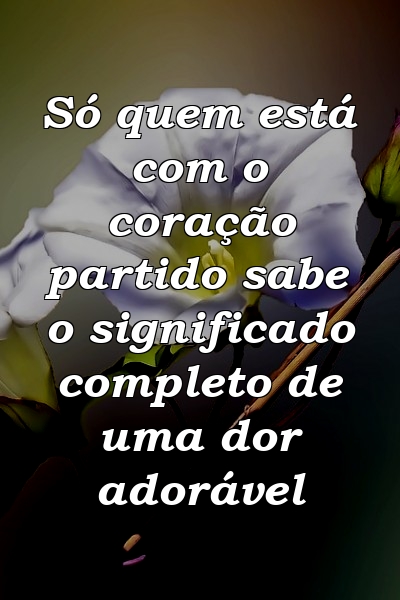 Só quem está com o coração partido sabe o significado completo de uma dor adorável