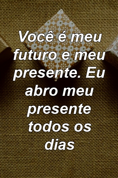 Você é meu futuro e meu presente. Eu abro meu presente todos os dias