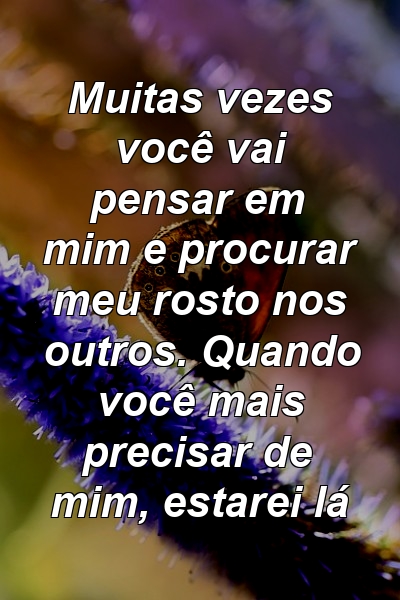 Muitas vezes você vai pensar em mim e procurar meu rosto nos outros. Quando você mais precisar de mim, estarei lá