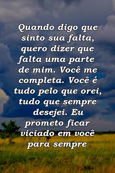 Quando digo que sinto sua falta, quero dizer que falta uma parte de mim. Você me completa. Você é tudo pelo que orei, tudo que sempre desejei. Eu prometo ficar viciado em você para sempre