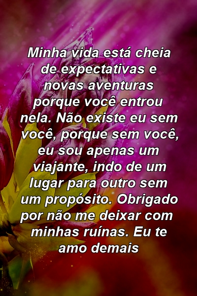 Minha vida está cheia de expectativas e novas aventuras porque você entrou nela. Não existe eu sem você, porque sem você, eu sou apenas um viajante, indo de um lugar para outro sem um propósito. Obrigado por não me deixar com minhas ruínas. Eu te amo demais