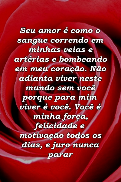 Seu amor é como o sangue correndo em minhas veias e artérias e bombeando em meu coração. Não adianta viver neste mundo sem você porque para mim viver é você. Você é minha força, felicidade e motivação todos os dias, e juro nunca parar