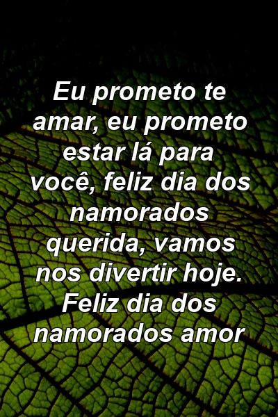 Eu prometo te amar, eu prometo estar lá para você, feliz dia dos namorados querida, vamos nos divertir hoje. Feliz dia dos namorados amor