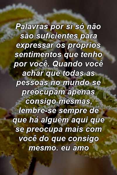 Palavras por si só não são suficientes para expressar os próprios sentimentos que tenho por você. Quando você achar que todas as pessoas no mundo se preocupam apenas consigo mesmas, lembre-se sempre de que há alguém aqui que se preocupa mais com você do que consigo mesmo. eu amo