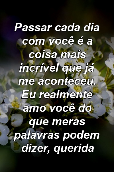 Passar cada dia com você é a coisa mais incrível que já me aconteceu. Eu realmente amo você do que meras palavras podem dizer, querida