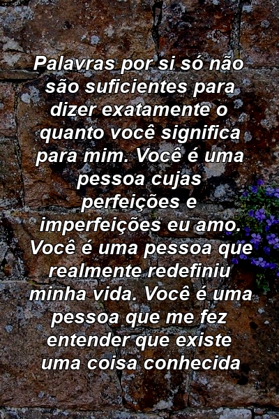 Palavras por si só não são suficientes para dizer exatamente o quanto você significa para mim. Você é uma pessoa cujas perfeições e imperfeições eu amo. Você é uma pessoa que realmente redefiniu minha vida. Você é uma pessoa que me fez entender que existe uma coisa conhecida