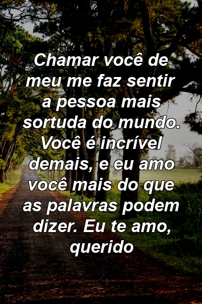 Chamar você de meu me faz sentir a pessoa mais sortuda do mundo. Você é incrível demais, e eu amo você mais do que as palavras podem dizer. Eu te amo, querido