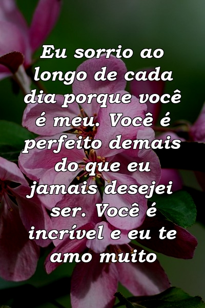 Eu sorrio ao longo de cada dia porque você é meu. Você é perfeito demais do que eu jamais desejei ser. Você é incrível e eu te amo muito