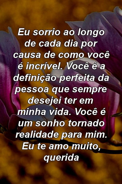 Eu sorrio ao longo de cada dia por causa de como você é incrível. Você é a definição perfeita da pessoa que sempre desejei ter em minha vida. Você é um sonho tornado realidade para mim. Eu te amo muito, querida