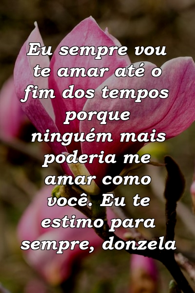 Eu sempre vou te amar até o fim dos tempos porque ninguém mais poderia me amar como você. Eu te estimo para sempre, donzela