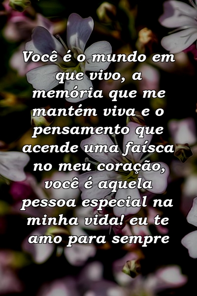 Você é o mundo em que vivo, a memória que me mantém viva e o pensamento que acende uma faísca no meu coração, você é aquela pessoa especial na minha vida! eu te amo para sempre