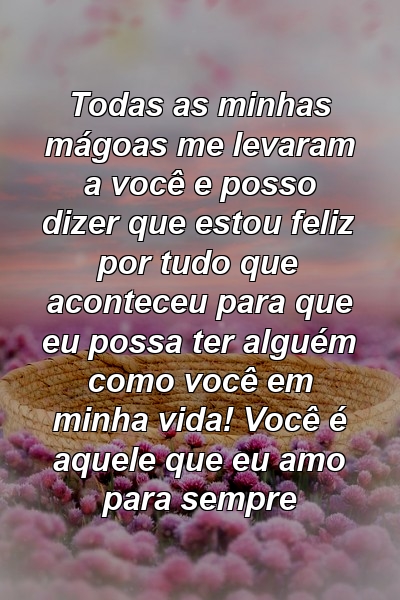 Todas as minhas mágoas me levaram a você e posso dizer que estou feliz por tudo que aconteceu para que eu possa ter alguém como você em minha vida! Você é aquele que eu amo para sempre