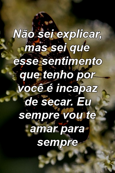 Não sei explicar, mas sei que esse sentimento que tenho por você é incapaz de secar. Eu sempre vou te amar para sempre