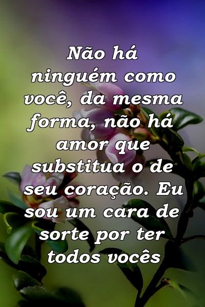 Não há ninguém como você, da mesma forma, não há amor que substitua o de seu coração. Eu sou um cara de sorte por ter todos vocês