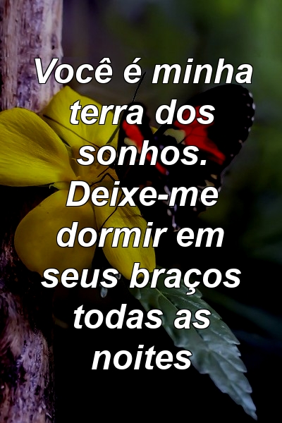 Você é minha terra dos sonhos. Deixe-me dormir em seus braços todas as noites