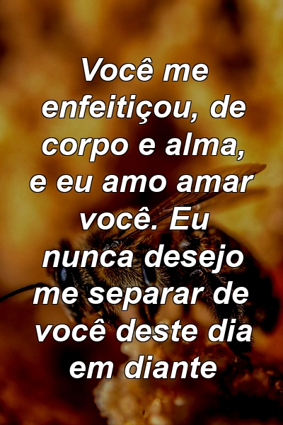 Você me enfeitiçou, de corpo e alma, e eu amo amar você. Eu nunca desejo me separar de você deste dia em diante