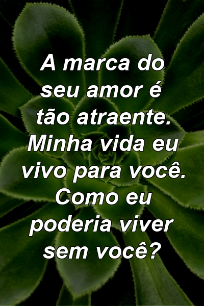 A marca do seu amor é tão atraente. Minha vida eu vivo para você. Como eu poderia viver sem você?