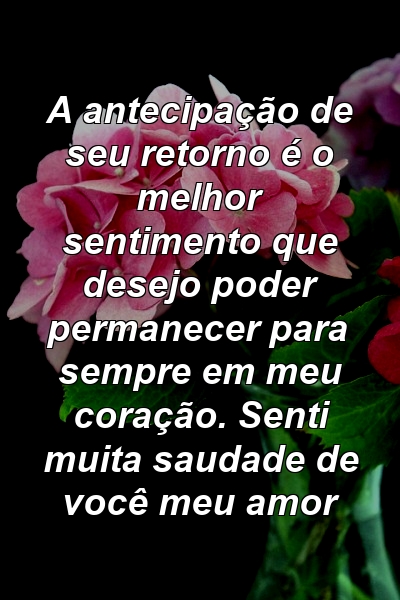 A antecipação de seu retorno é o melhor sentimento que desejo poder permanecer para sempre em meu coração. Senti muita saudade de você meu amor