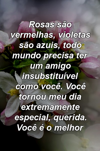 Rosas são vermelhas, violetas são azuis, todo mundo precisa ter um amigo insubstituível como você. Você tornou meu dia extremamente especial, querida. Você é o melhor