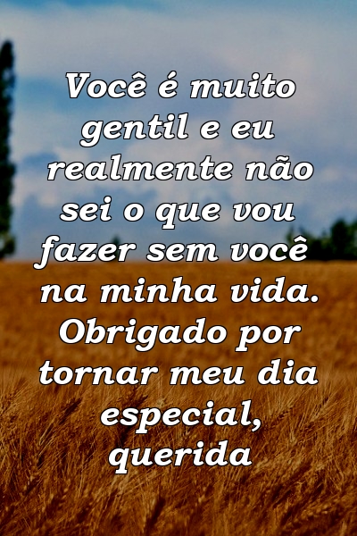 Você é muito gentil e eu realmente não sei o que vou fazer sem você na minha vida. Obrigado por tornar meu dia especial, querida