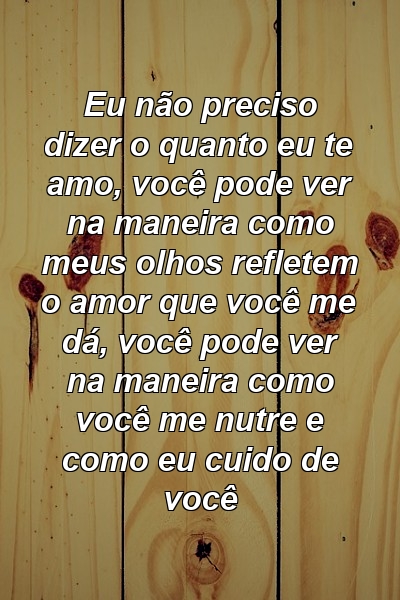 Eu não preciso dizer o quanto eu te amo, você pode ver na maneira como meus olhos refletem o amor que você me dá, você pode ver na maneira como você me nutre e como eu cuido de você