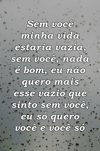 Sem você minha vida estaria vazia, sem você, nada é bom, eu não quero mais esse vazio que sinto sem você, eu só quero você e você só