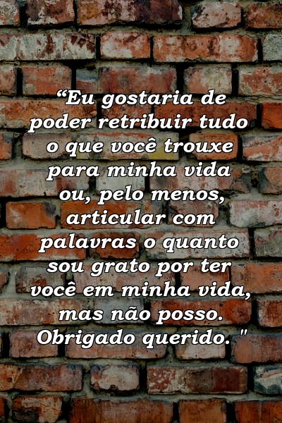 “Eu gostaria de poder retribuir tudo o que você trouxe para minha vida ou, pelo menos, articular com palavras o quanto sou grato por ter você em minha vida, mas não posso. Obrigado querido. "