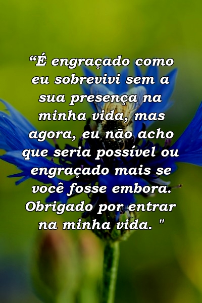 “É engraçado como eu sobrevivi sem a sua presença na minha vida, mas agora, eu não acho que seria possível ou engraçado mais se você fosse embora. Obrigado por entrar na minha vida. "