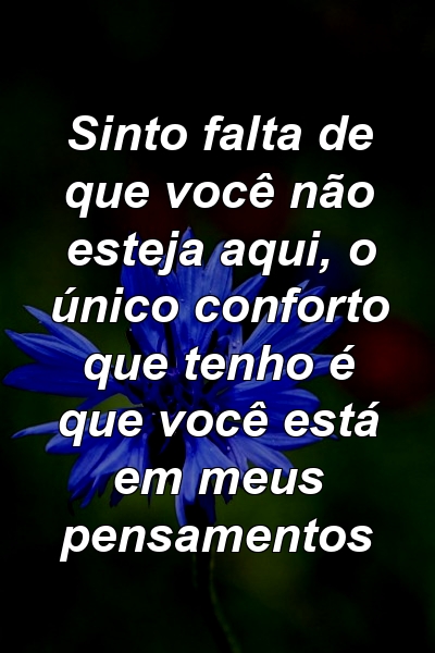 Sinto falta de que você não esteja aqui, o único conforto que tenho é que você está em meus pensamentos