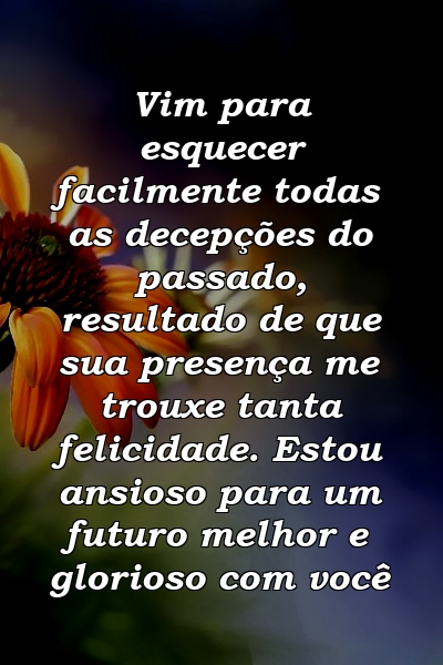 Vim para esquecer facilmente todas as decepções do passado, resultado de que sua presença me trouxe tanta felicidade. Estou ansioso para um futuro melhor e glorioso com você