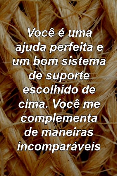 Você é uma ajuda perfeita e um bom sistema de suporte escolhido de cima. Você me complementa de maneiras incomparáveis