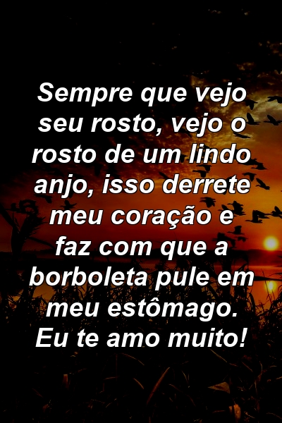 Sempre que vejo seu rosto, vejo o rosto de um lindo anjo, isso derrete meu coração e faz com que a borboleta pule em meu estômago. Eu te amo muito!